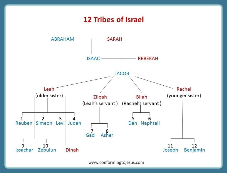 12 Tribes Diagram