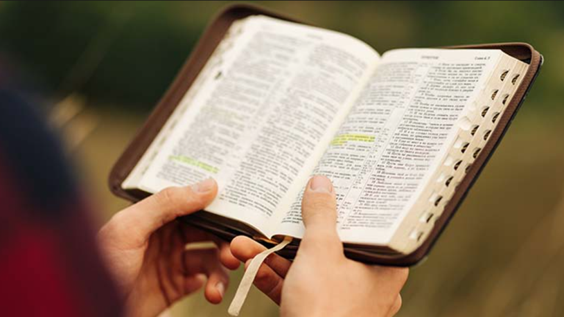 bible-reader.png