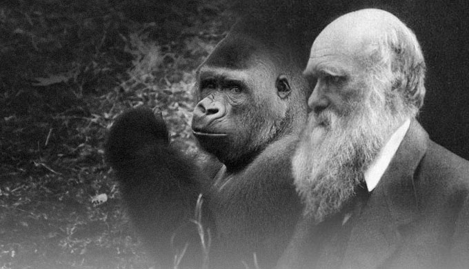 darwin-ape.jpg