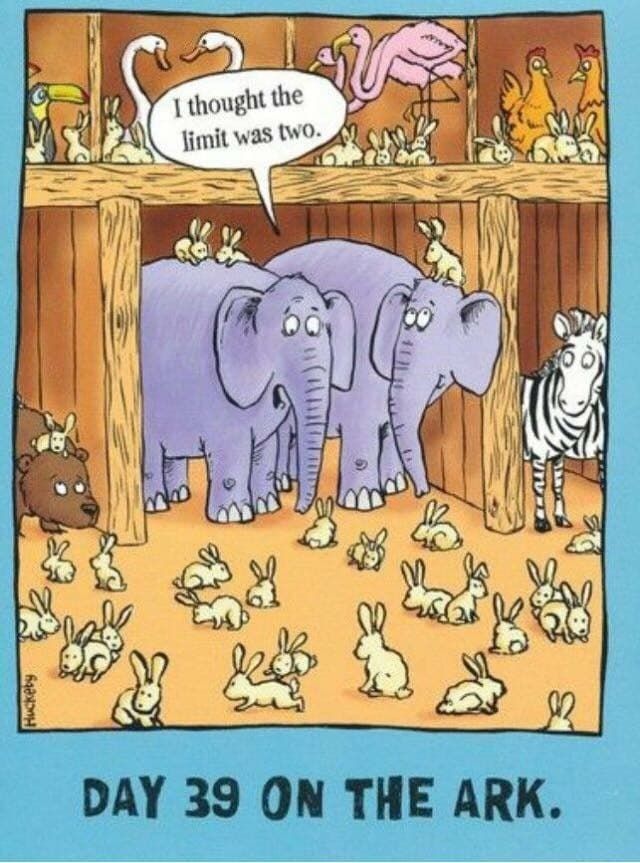Rascally Rabbits